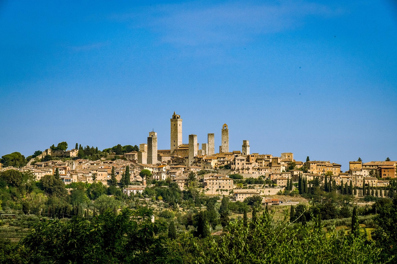 Professional trip to Vernaccia di San Gimignano DOCG